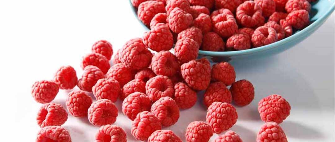 Static vs Fluidized Freezing: What is the Premium Method for Freezing IQF Raspberries?